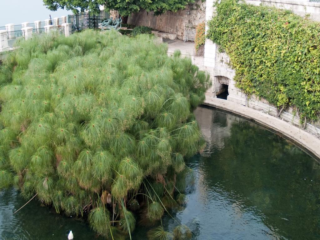 Corallia Apartment Siraküza Dış mekan fotoğraf